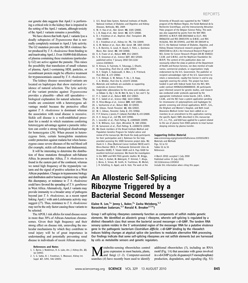 Ice Sickle Png, Transparent Png