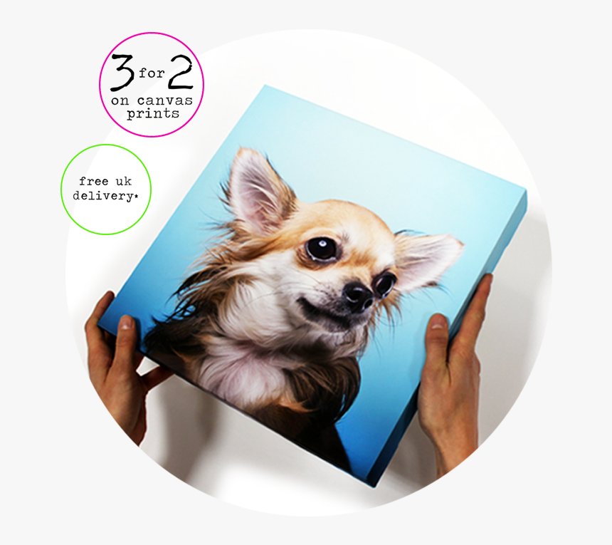 Dog Prints Png, Transparent Png