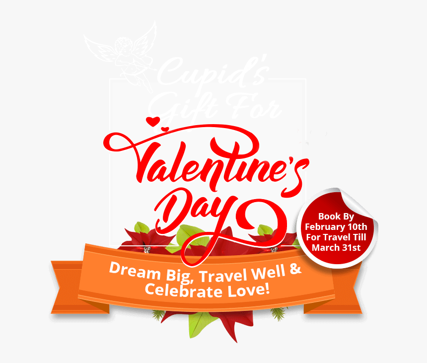 Special Offer Banner Png, Transparent Png