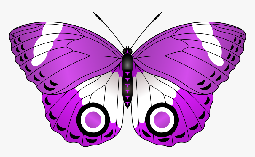 Red Butterfly Transparent Clipart , Png Download, Png Download