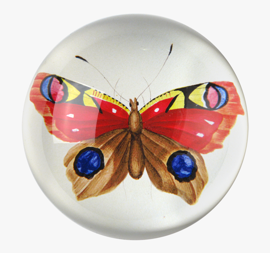 Transparent Red Butterfly Png, Png Download