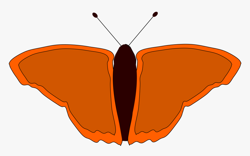 Orange Butterfly Clip Arts, HD Png Download