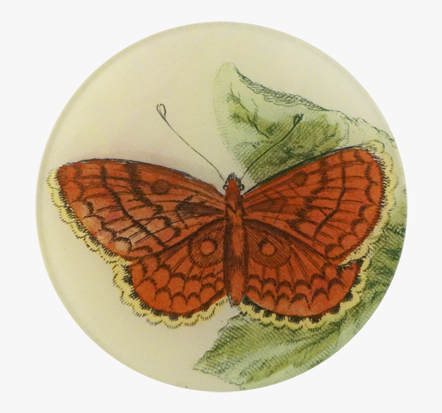 Brush-footed Butterfly, HD Png Download