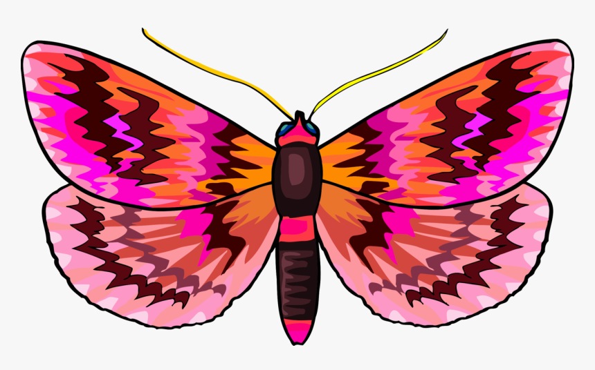 Transparent Monarch Butterfly Clipart, HD Png Download