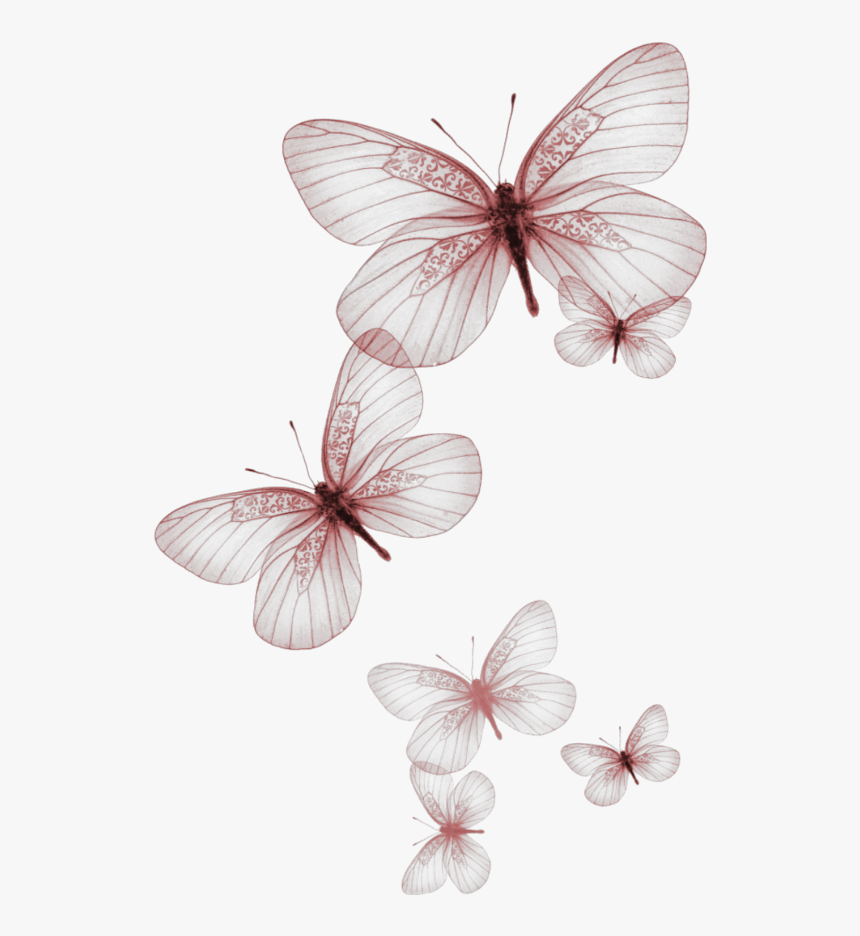 Red Butterflies, HD Png Download