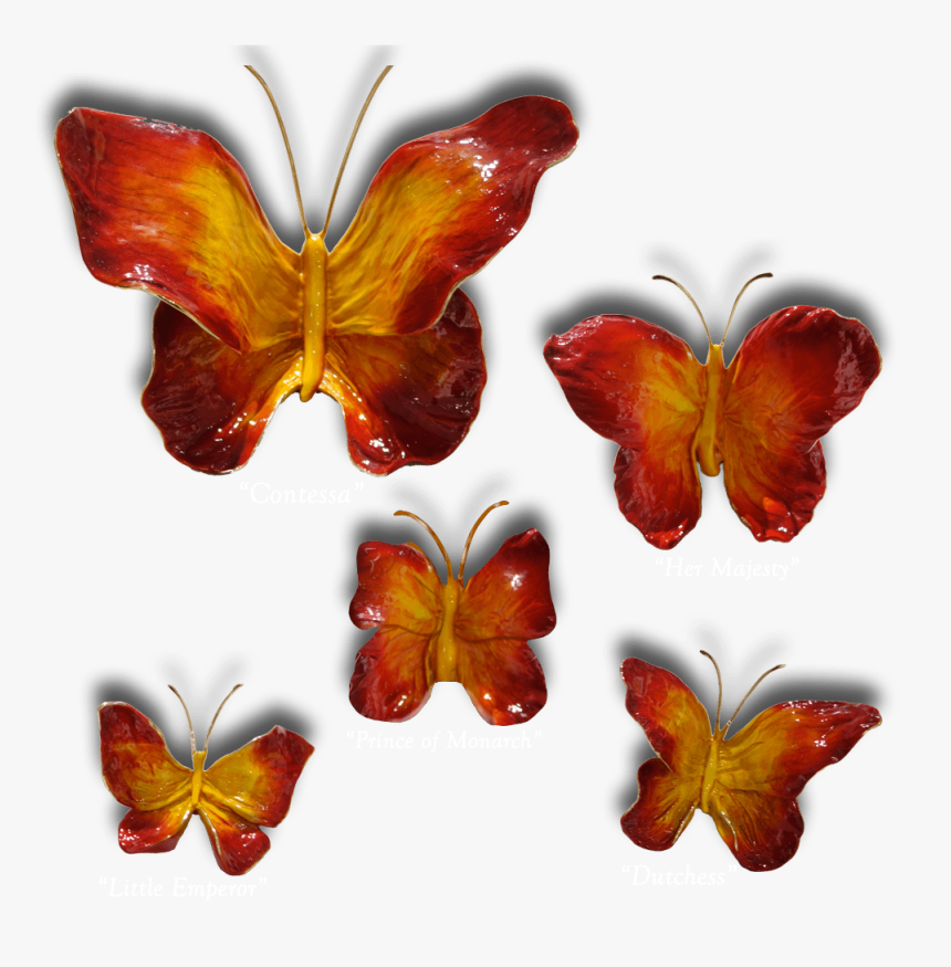 Ron & Sheila Ruiz Flame Butterfly Exposures International, HD Png Download