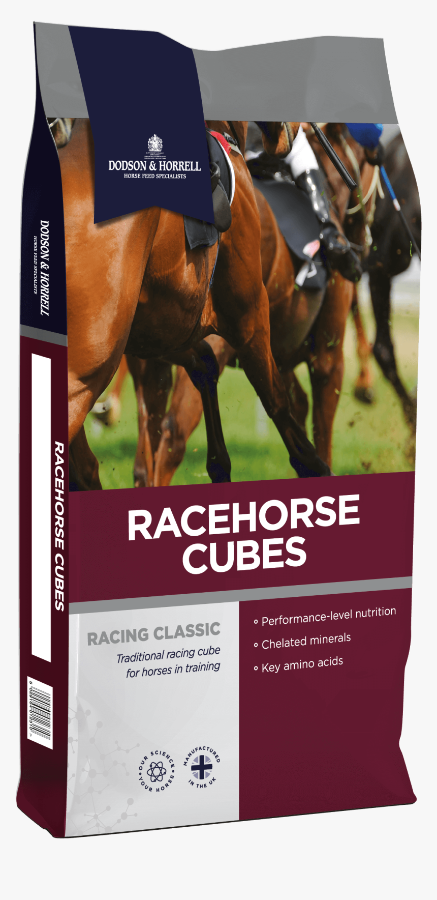 Race Horse Png, Transparent Png