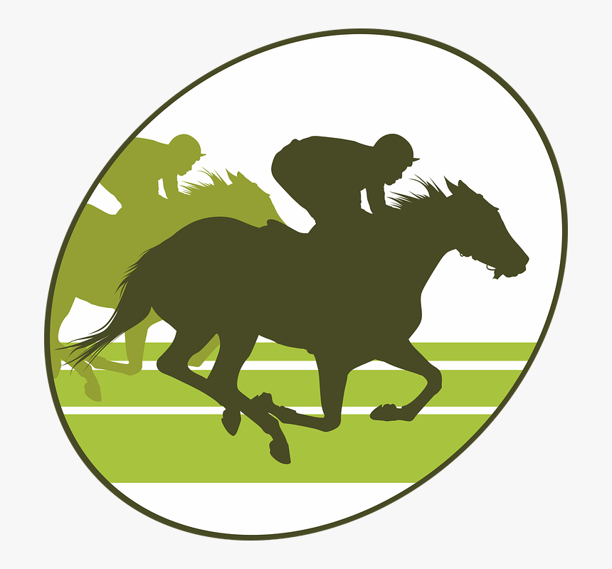 Transparent Race Horse Png, Png Download