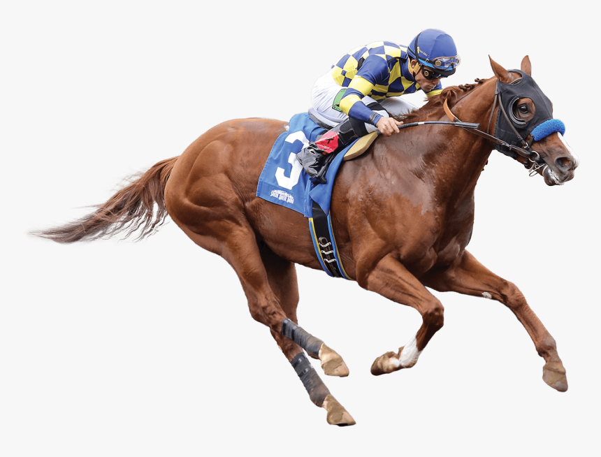 Race Horse Png, Transparent Png