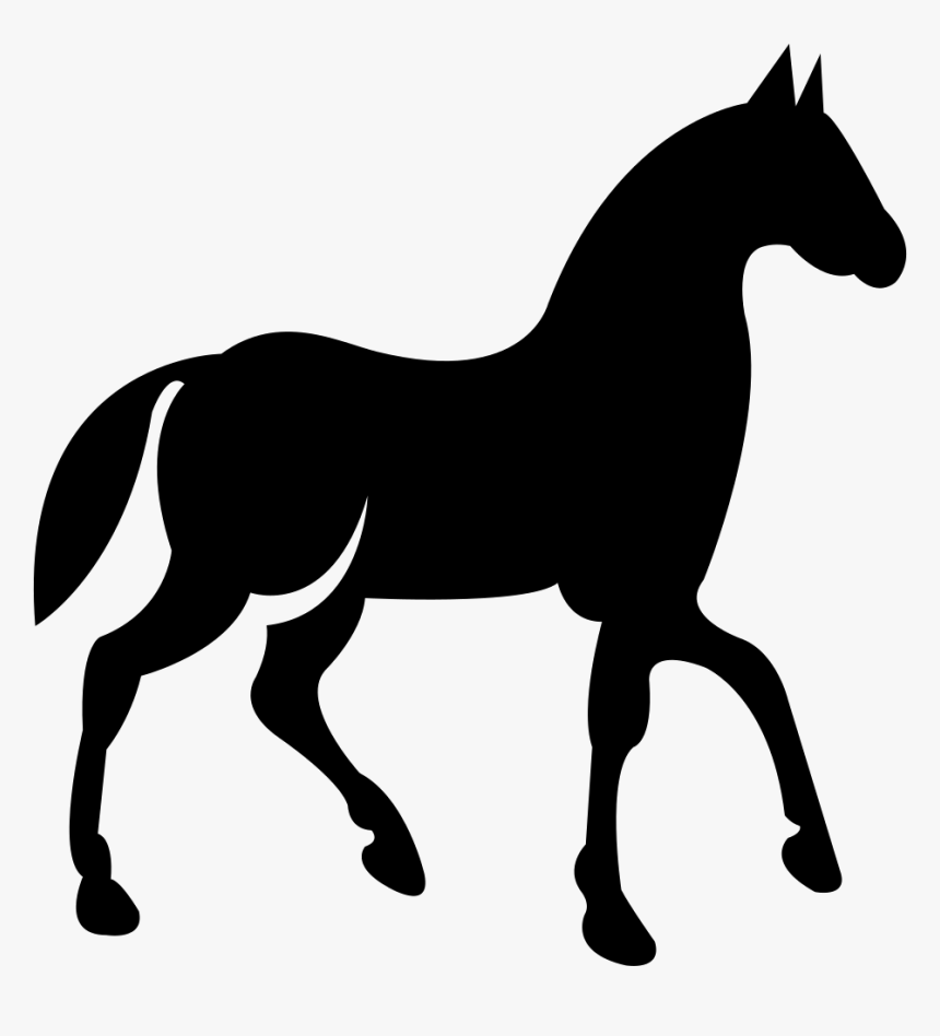Black Race Horse On Walking Pose Side View, HD Png Download