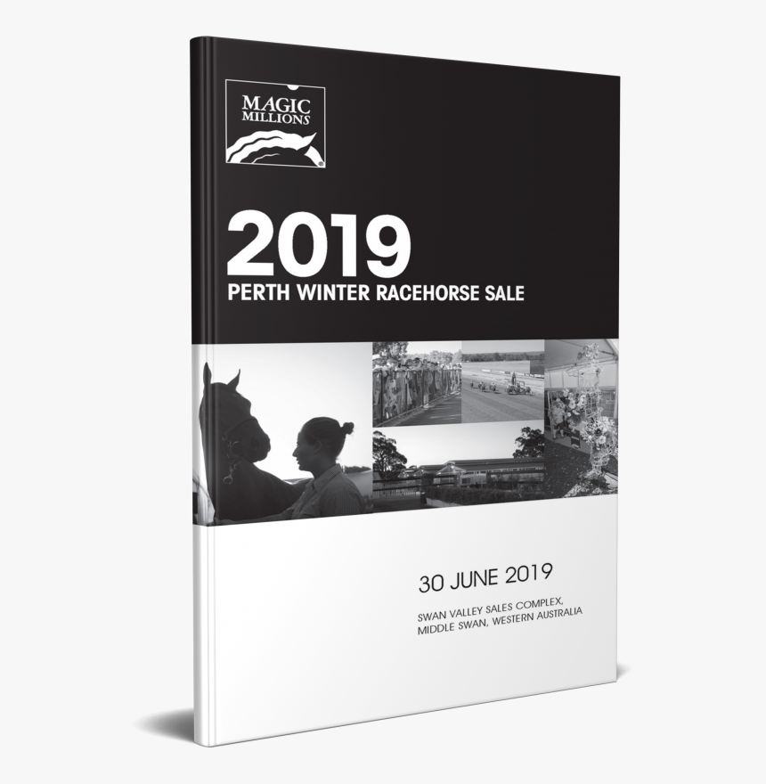 Race Horse Png, Transparent Png