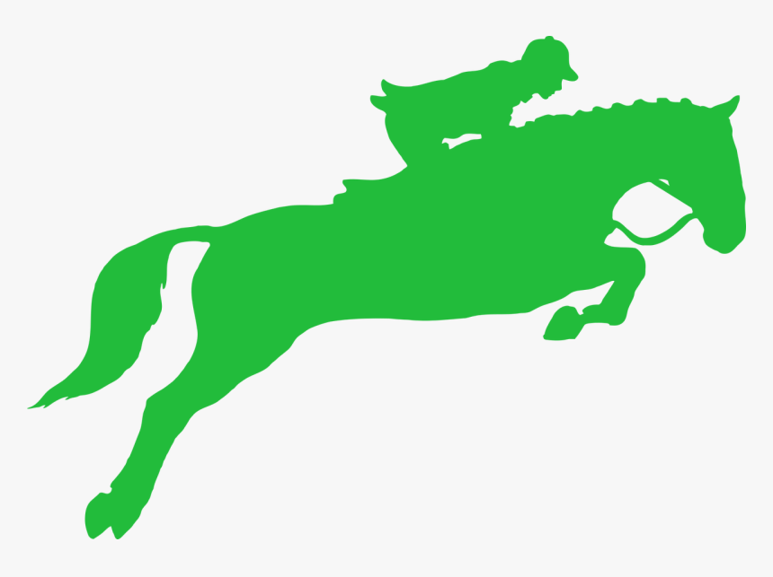 Race Horse Png, Transparent Png