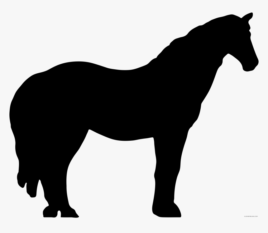 Transparent Race Horse Png, Png Download