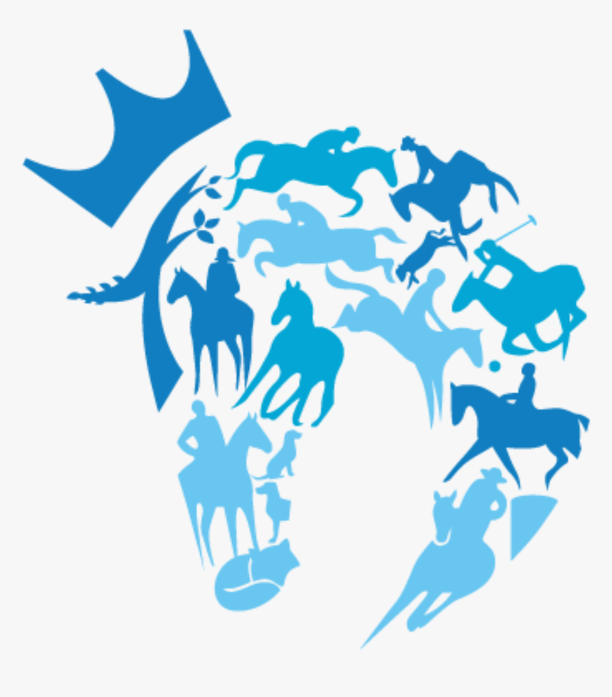 Race Horse Png, Transparent Png