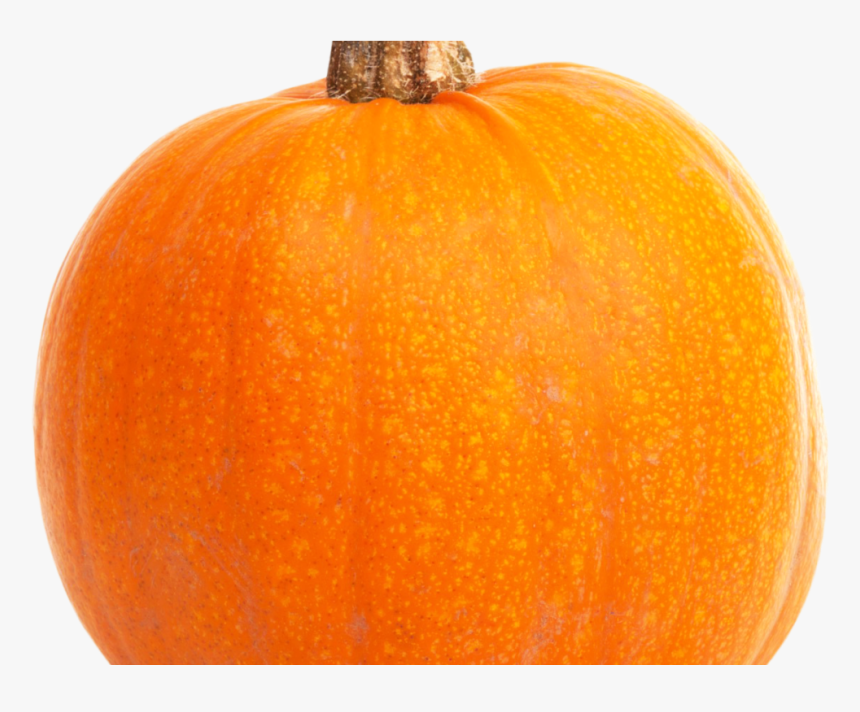 Pumpkin Png Transparent, Png Download