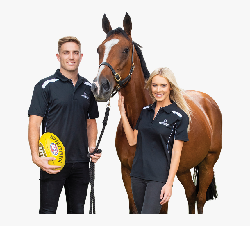 Race Horse Png, Transparent Png