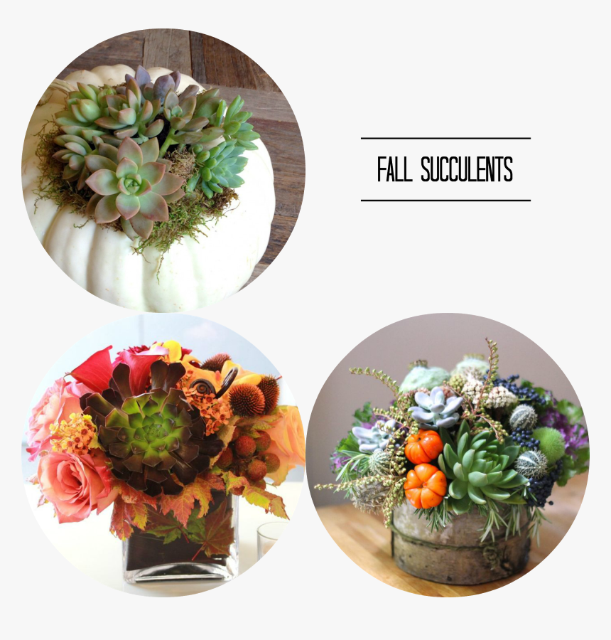 Fall Flowers Png, Transparent Png