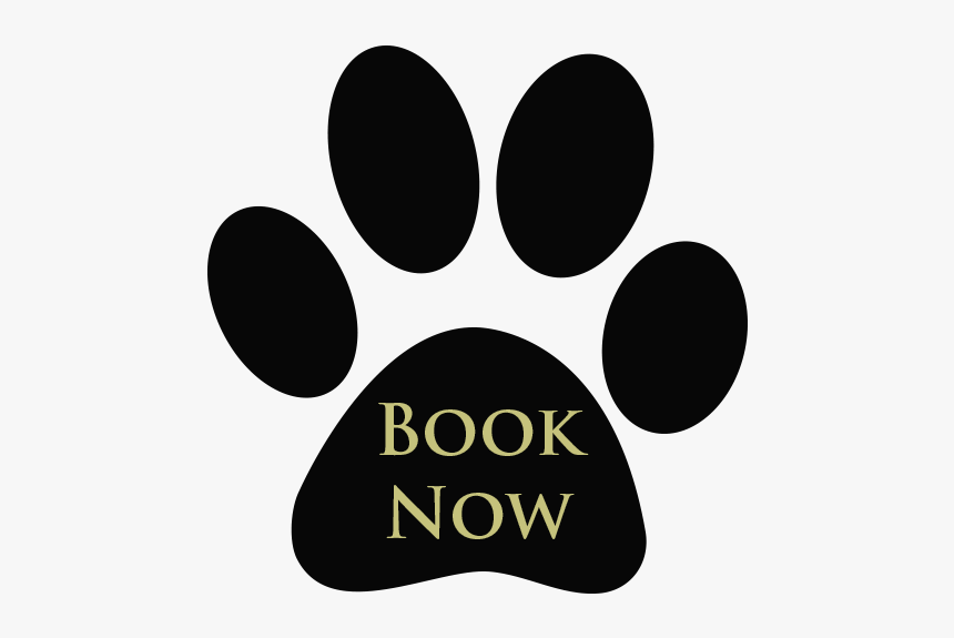 Book Now Button, HD Png Download