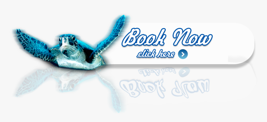 Affordable Hotel Vero Beach, HD Png Download