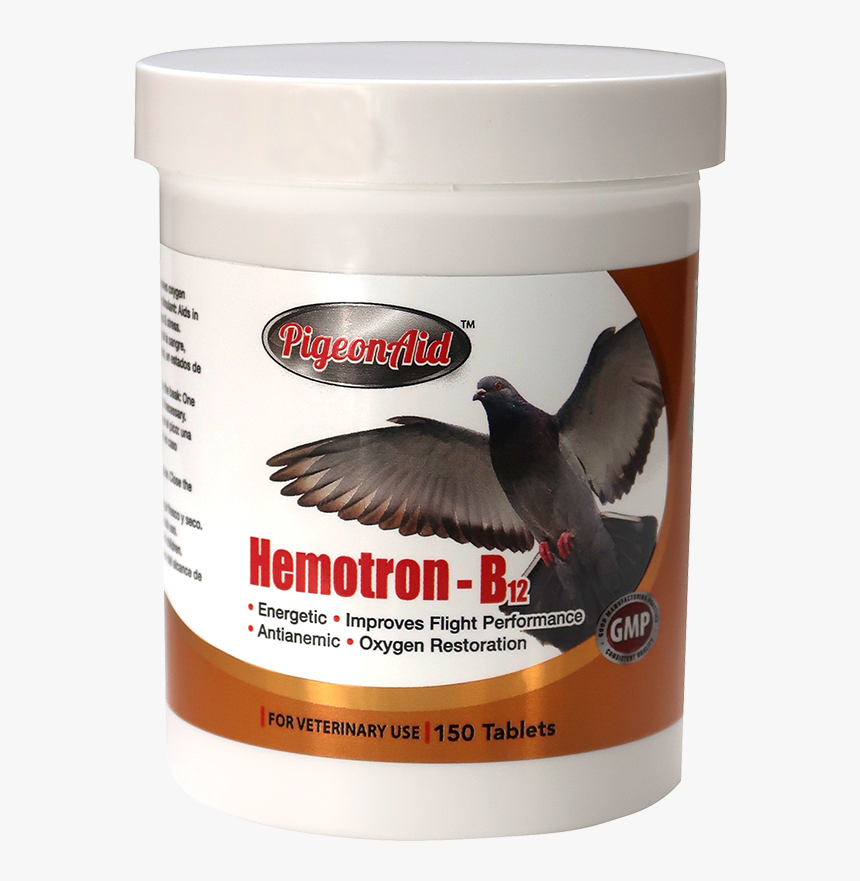 Transparent Pigeons Png, Png Download