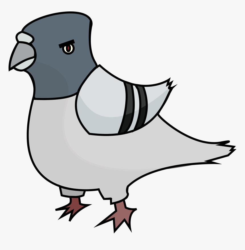 Angry Pigeon Clipart, HD Png Download