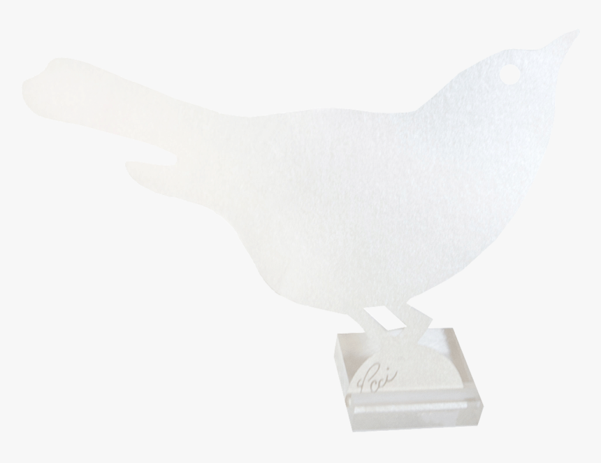 Pigeons And Doves , Png Download, Transparent Png