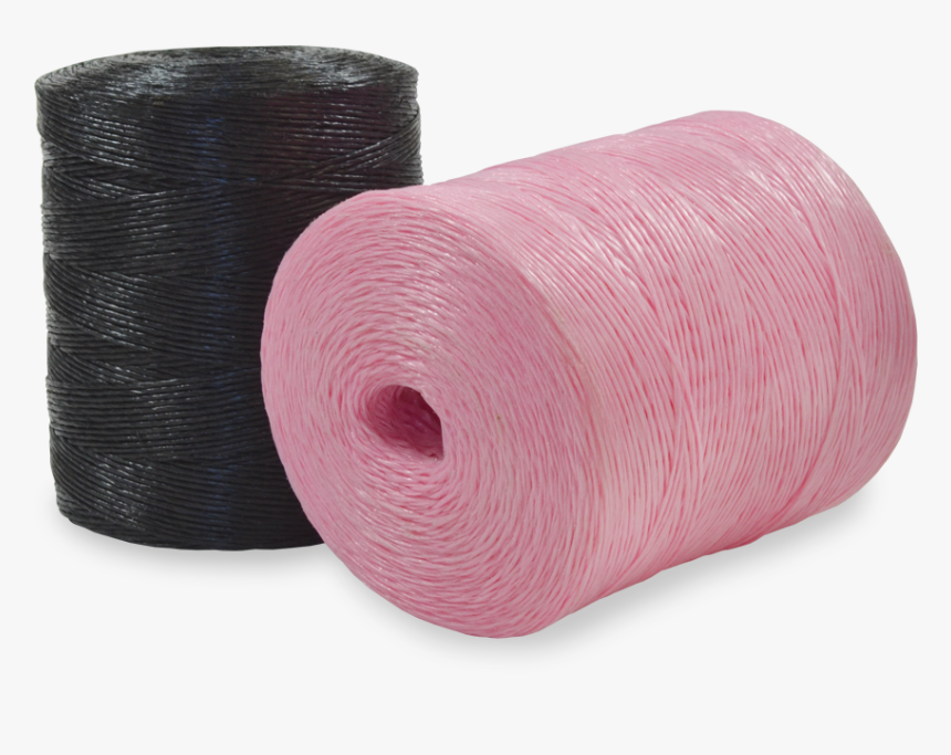 Tomato, HD Png Download