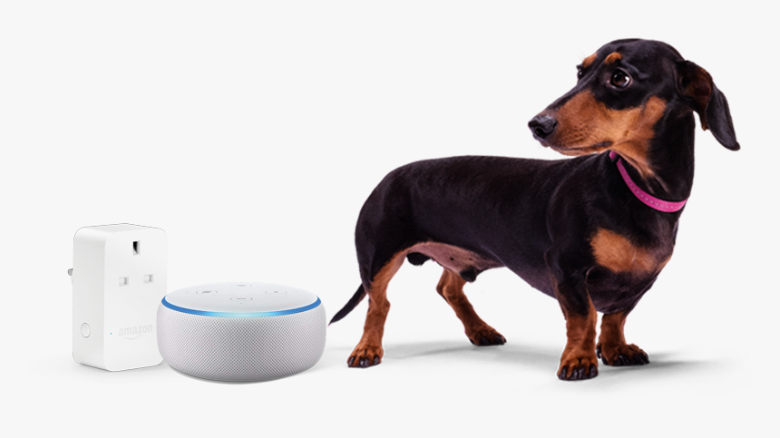 Stanley And Amazon Echo Dot And Plug, HD Png Download