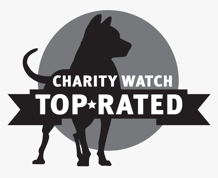 Charity Watch, HD Png Download