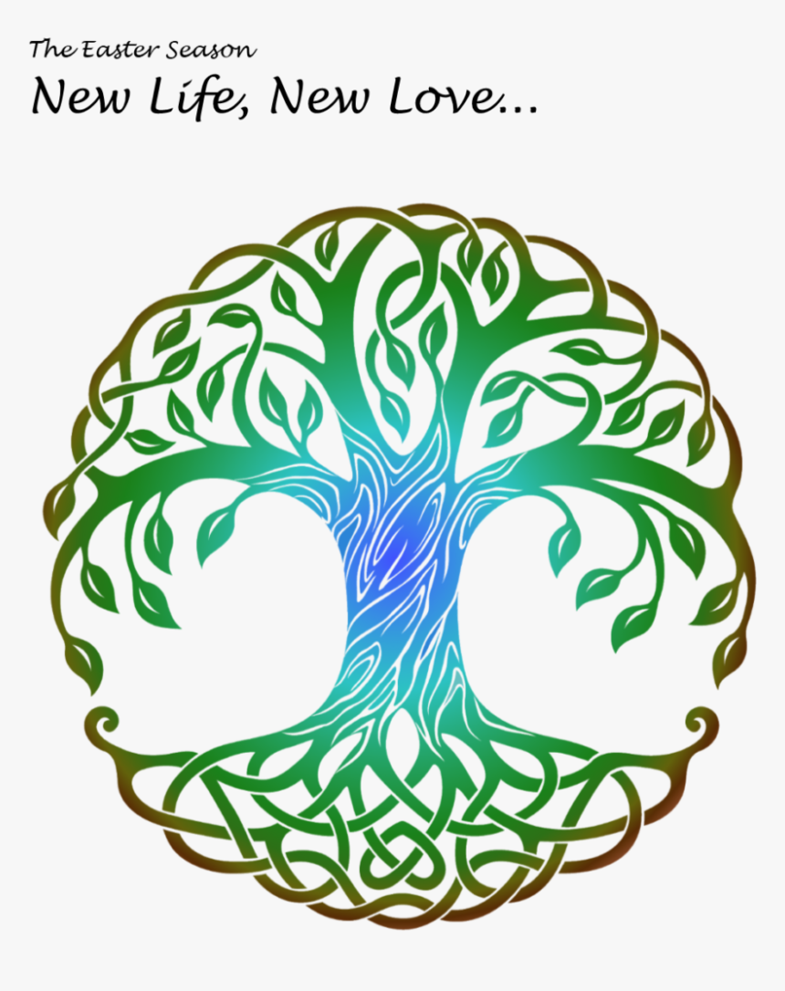 May 26, 2019, Worship Bulletin, Prayer Concerns, Announcements, HD Png Download