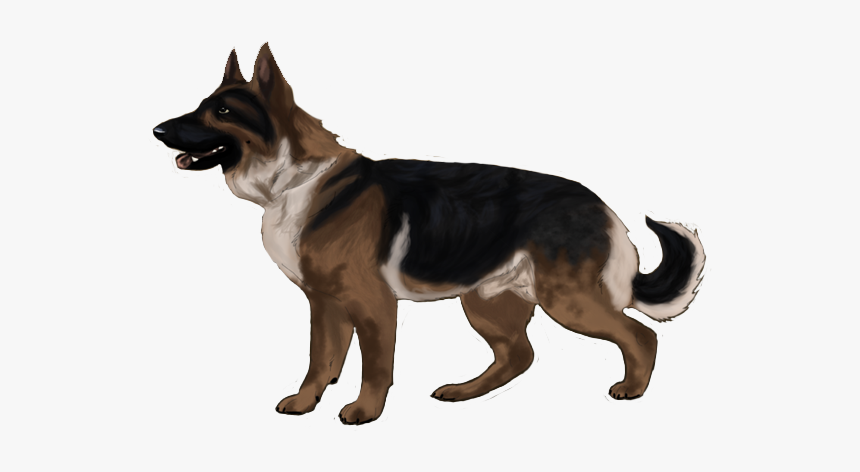 Thumb Image, HD Png Download