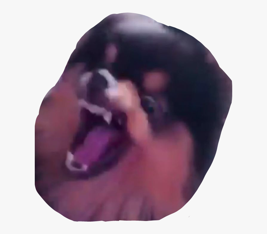 Transparent Angry Dog Png, Png Download