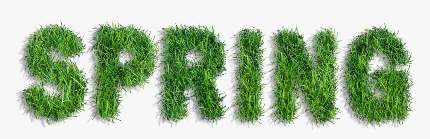 Graphic Freeuse Stock Spring Of Grass Png Clipart, Transparent Png
