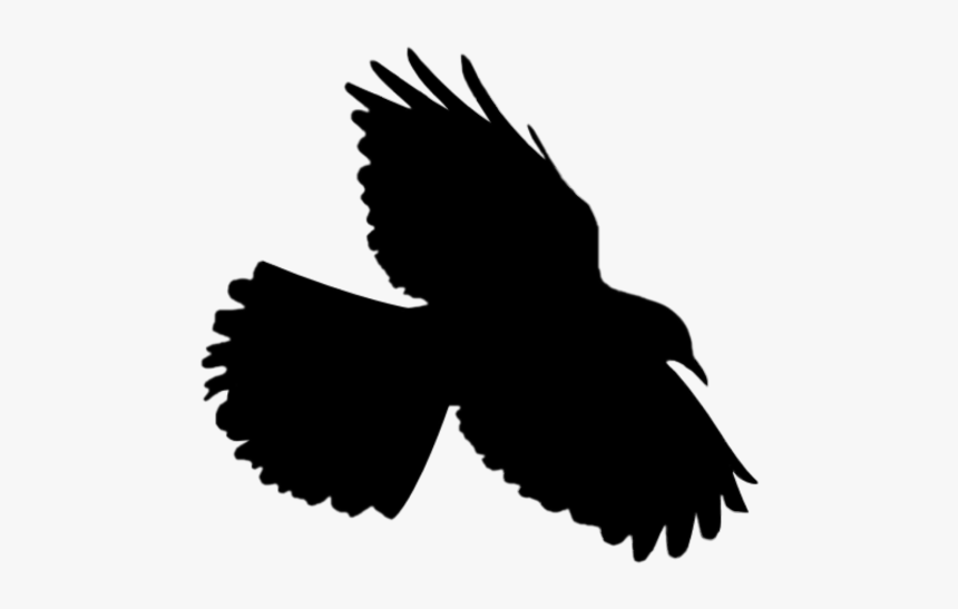#bird #flying #flyingbird #silhouette, HD Png Download