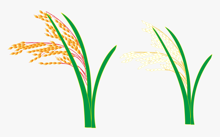 Logo Grasses Leaf Plant Stem Font, HD Png Download