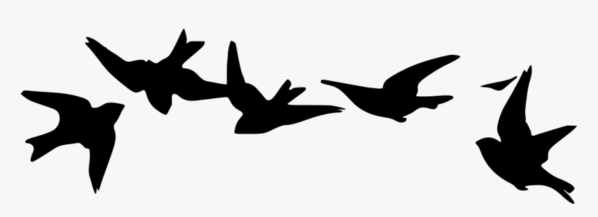 Flying Bird Silhouette Png, Transparent Png