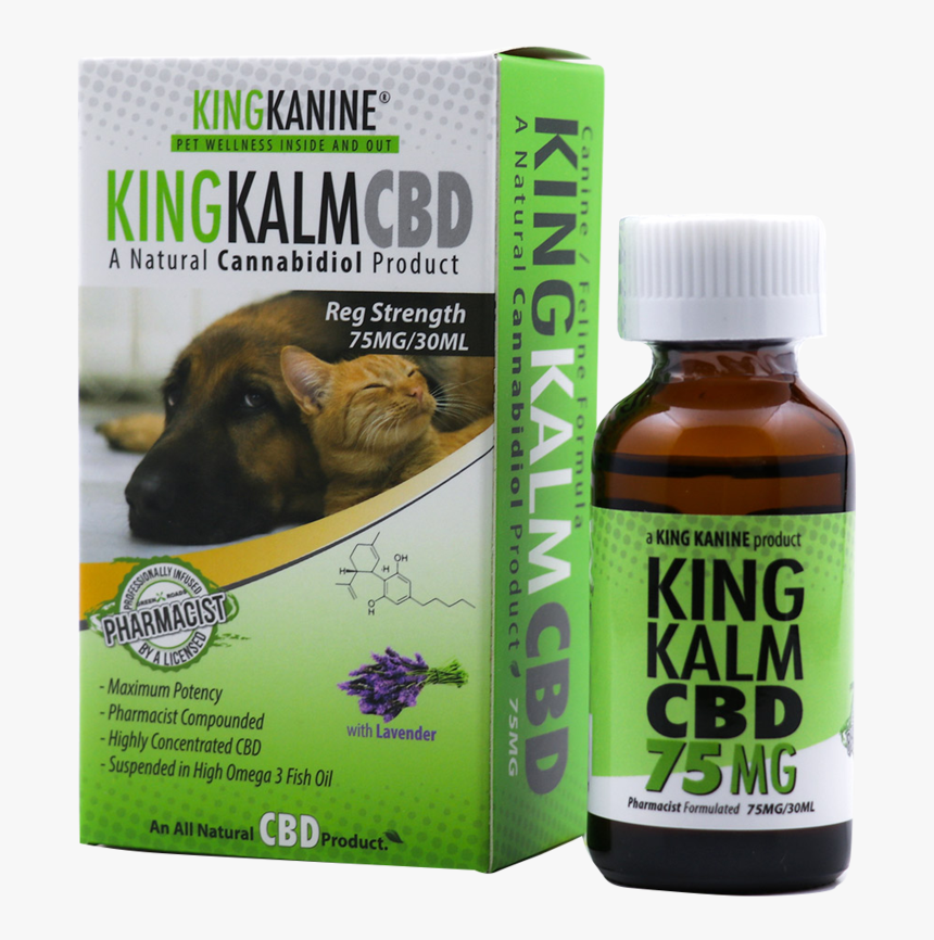 Transparent Angry Cat Png, Png Download