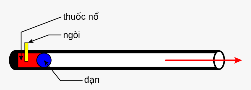 Hoa Mai Png, Transparent Png