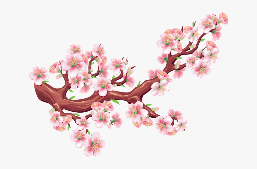 Hoa Mai Png, Transparent Png