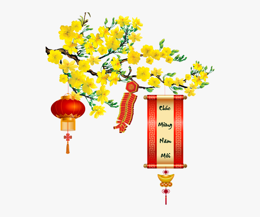 pic Hoa Mai Png hoa mai png transparent png
