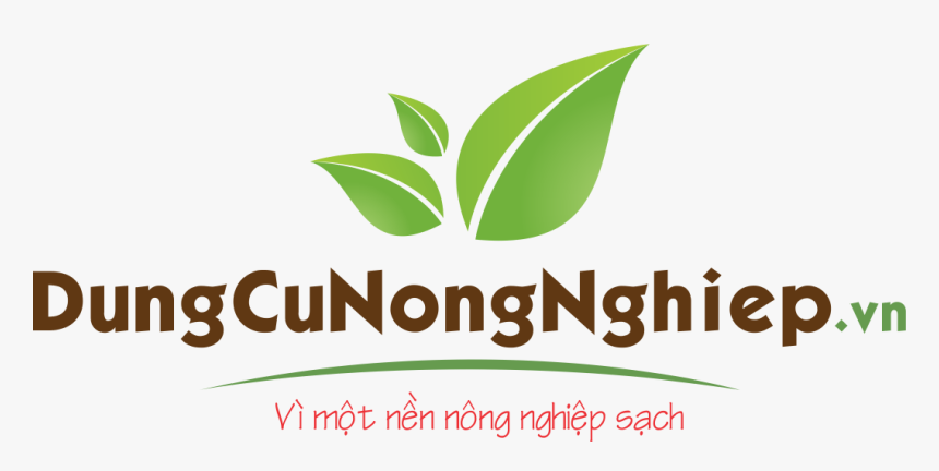 Hoa Mai Png, Transparent Png