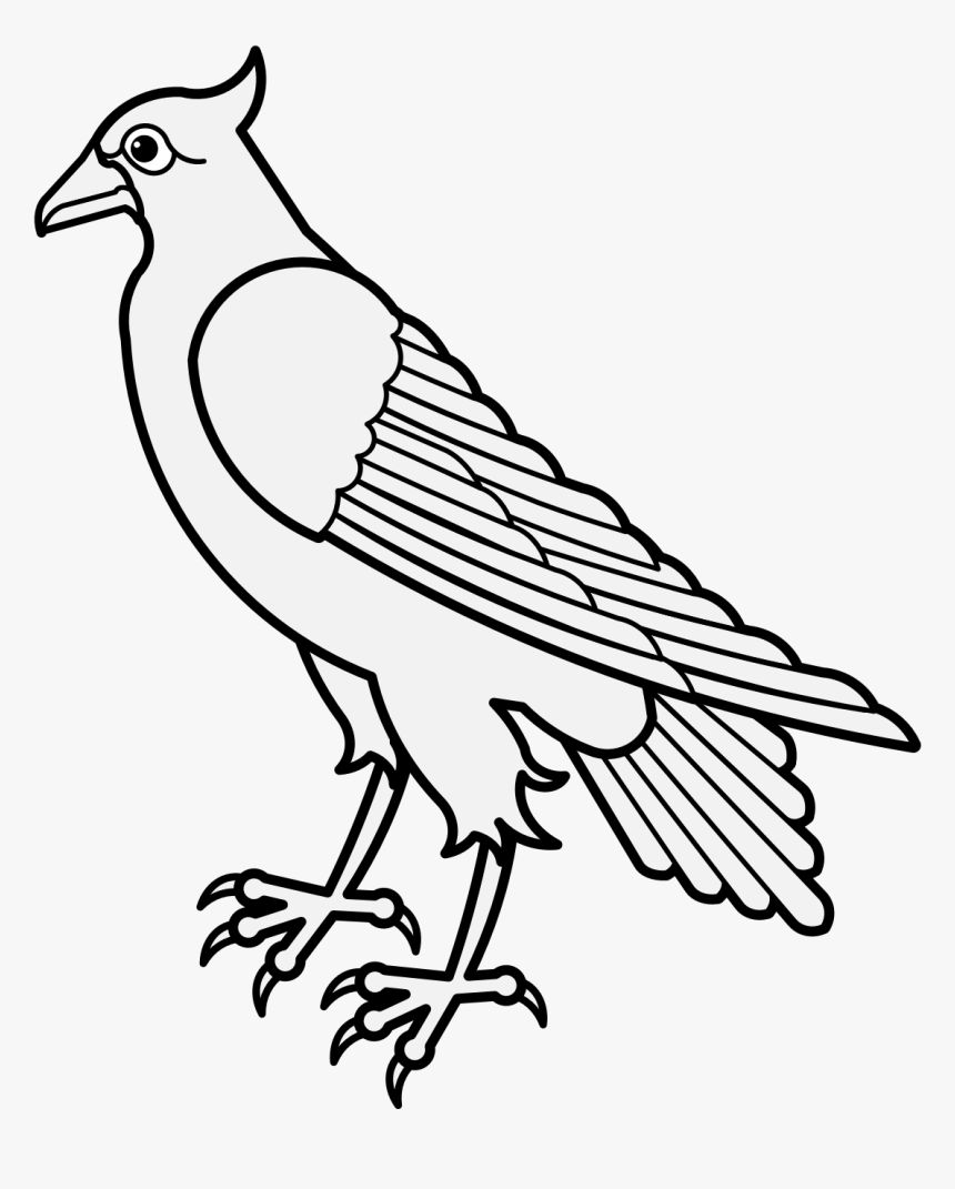 Dove Png Images, Transparent Png