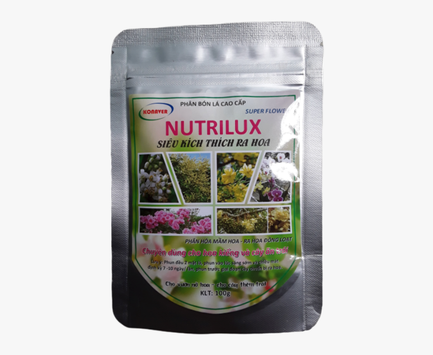 Hoa Mai Png, Transparent Png