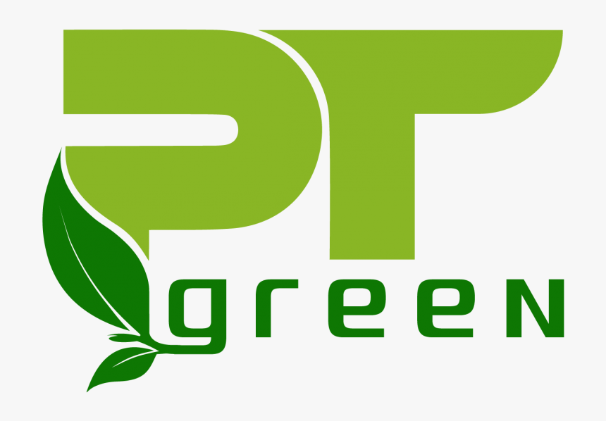 Hoa Mai Png, Transparent Png