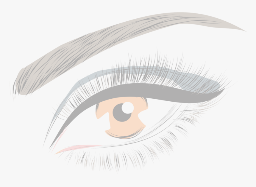 Eyelash Drawing Eyebrow, HD Png Download