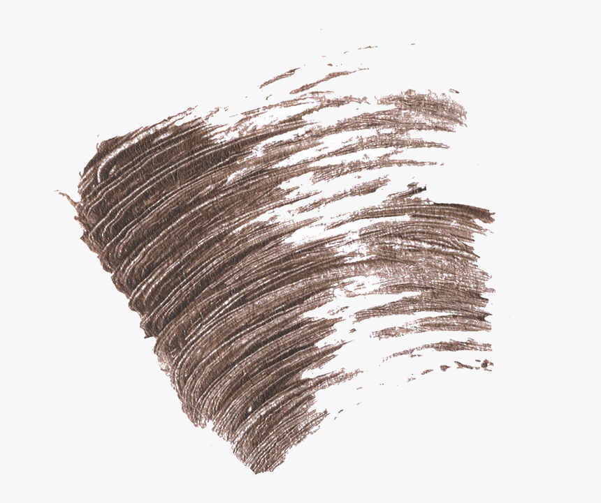 Legendary Brows Supermodel Swatch, HD Png Download