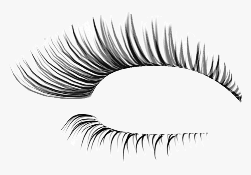 Eyelashes Transparent Transparent Background, HD Png Download