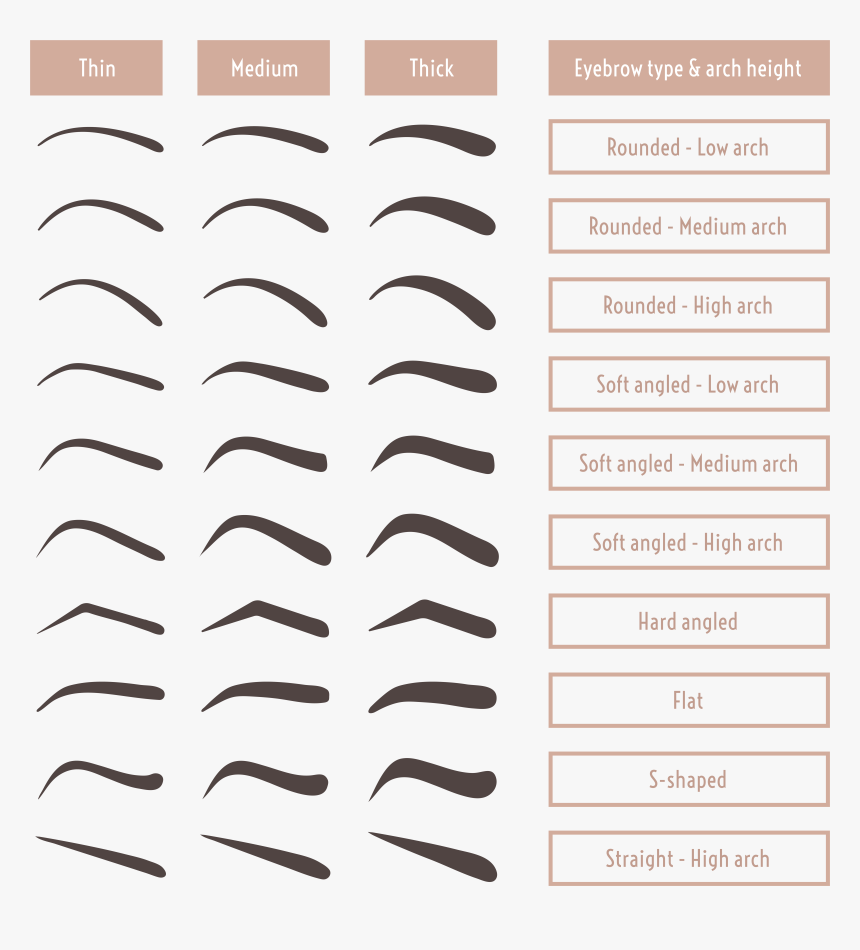 Bushy Eyebrows Png, Transparent Png