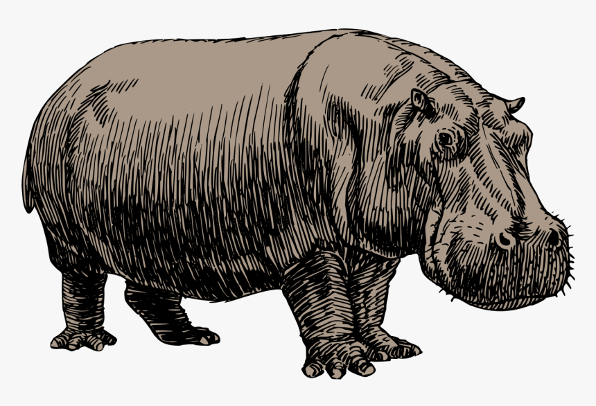 Fat Person Png, Transparent Png