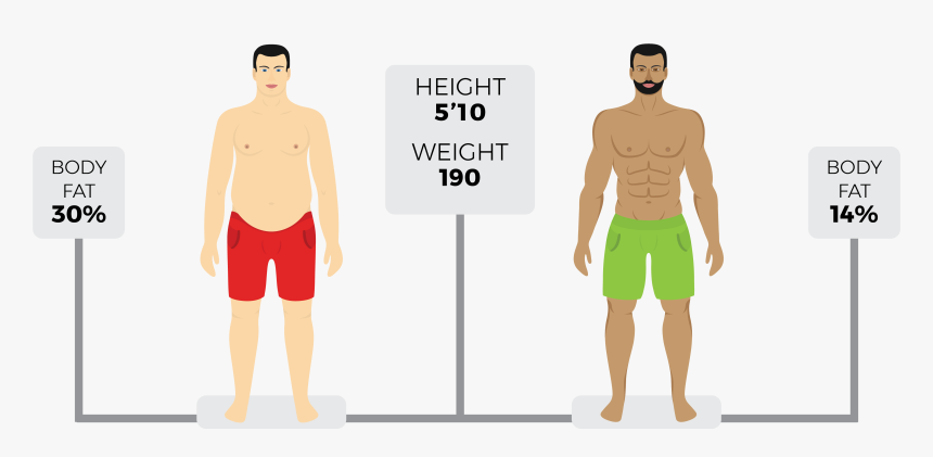 Fat Person Png, Transparent Png